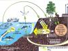Круговорот углерода, азота, фосфора, кислорода,воды Химия окруж круговорот воды в биосфере